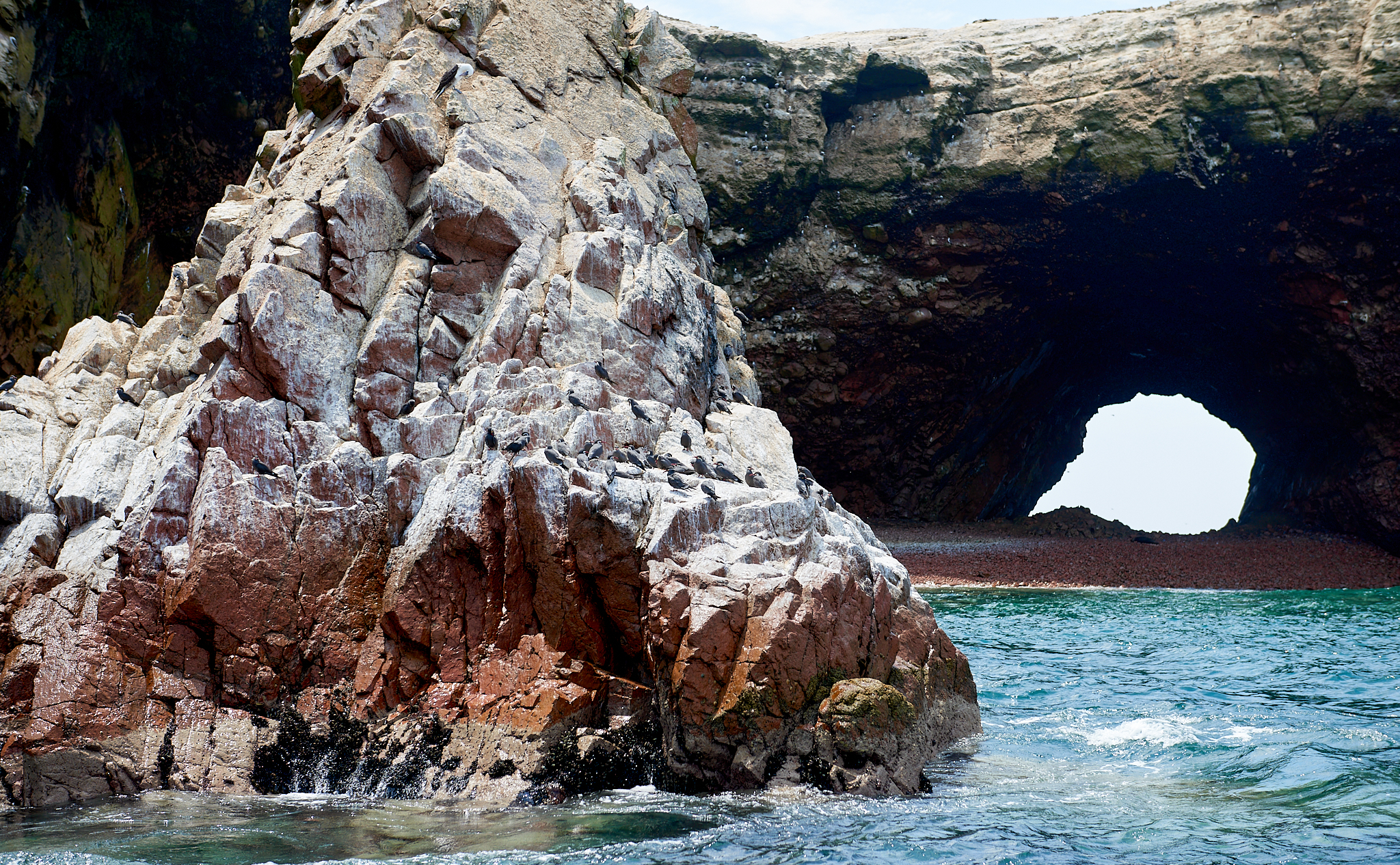 20200304 154 [페루] 바예스타섬